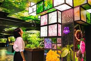 「広島もとまち水族館」空間演出による没入型アクアリウム、神秘のクラゲ水槽やチンアナゴスイーツ｜写真6