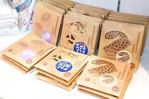 「広島もとまち水族館」空間演出による没入型アクアリウム、神秘のクラゲ水槽やチンアナゴスイーツ｜写真66