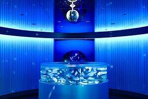 「広島もとまち水族館」空間演出による没入型アクアリウム、神秘のクラゲ水槽やチンアナゴスイーツ｜写真18