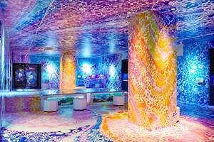 「広島もとまち水族館」空間演出による没入型アクアリウム、神秘のクラゲ水槽やチンアナゴスイーツ｜写真33