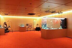 「広島もとまち水族館」空間演出による没入型アクアリウム、神秘のクラゲ水槽やチンアナゴスイーツ｜写真51