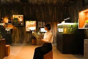 「広島もとまち水族館」空間演出による没入型アクアリウム、神秘のクラゲ水槽やチンアナゴスイーツ｜写真8