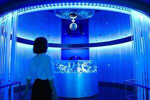 「広島もとまち水族館」空間演出による没入型アクアリウム、神秘のクラゲ水槽やチンアナゴスイーツ