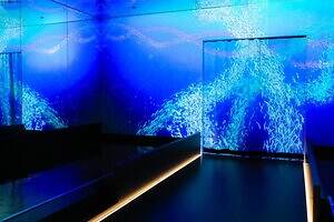 「広島もとまち水族館」空間演出による没入型アクアリウム、神秘のクラゲ水槽やチンアナゴスイーツ｜写真4