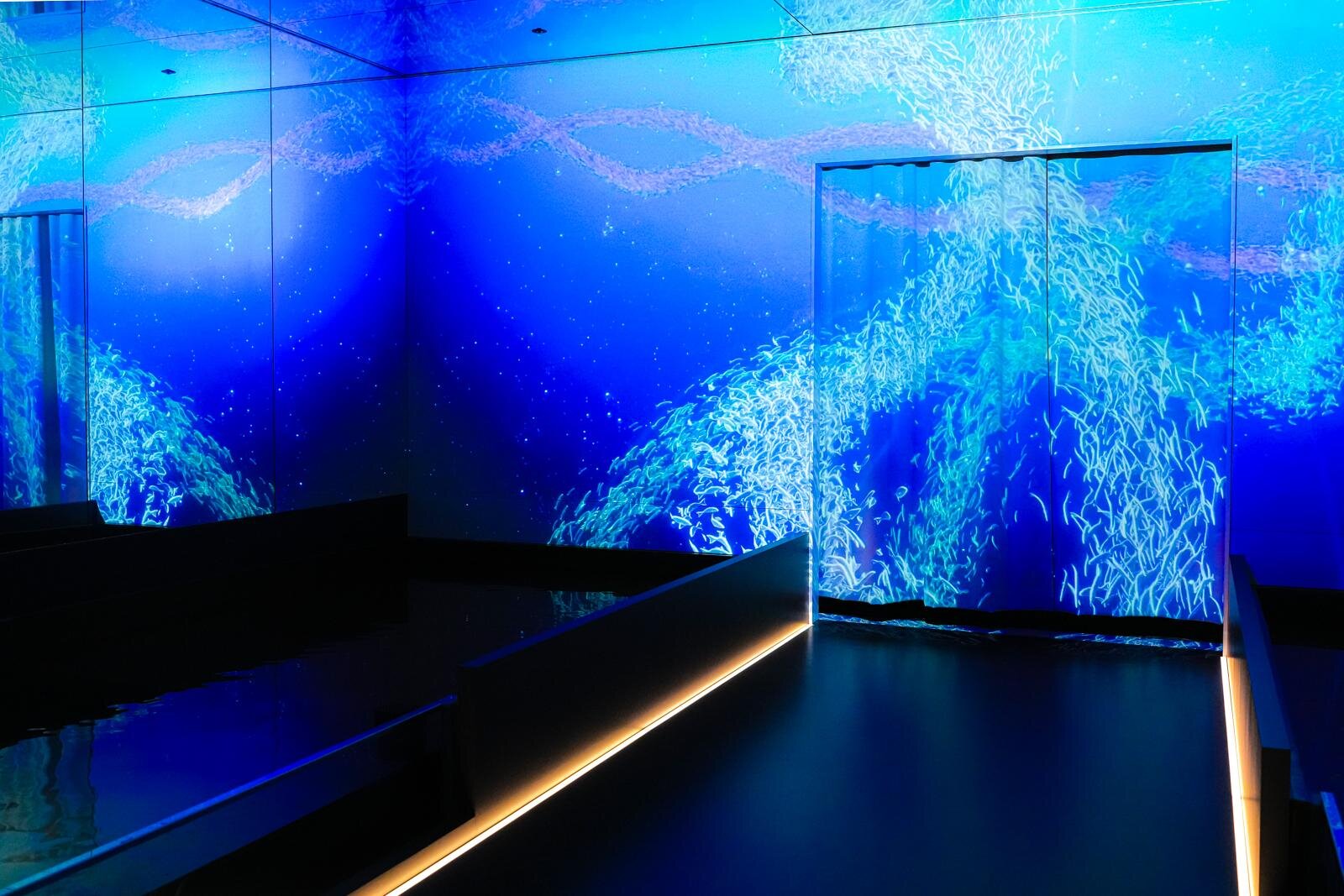 「広島もとまち水族館」空間演出による没入型アクアリウム、神秘のクラゲ水槽やチンアナゴスイーツ｜写真4