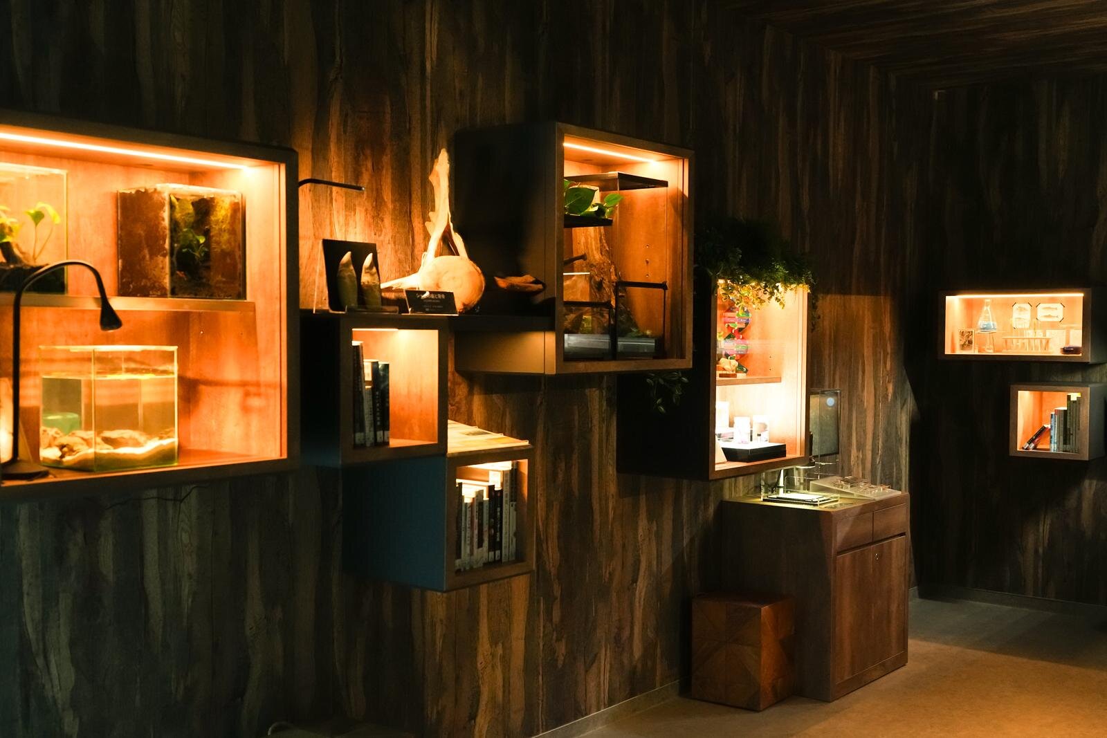 「広島もとまち水族館」空間演出による没入型アクアリウム、神秘のクラゲ水槽やチンアナゴスイーツ｜写真14