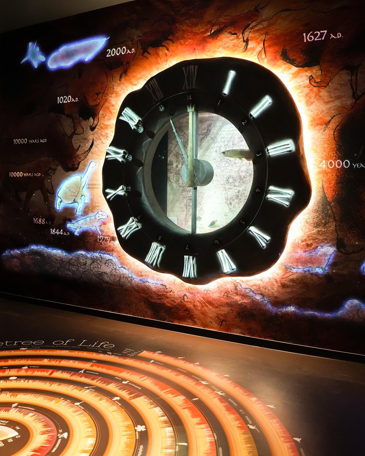 「広島もとまち水族館」空間演出による没入型アクアリウム、神秘のクラゲ水槽やチンアナゴスイーツ｜写真59