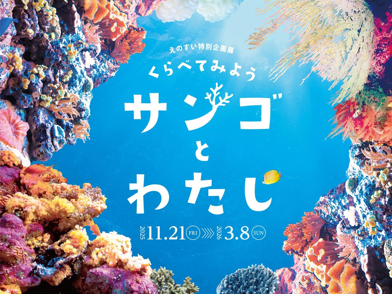 新江ノ島水族館「くらべてみよう サンゴとわたし」 開催期間：2025年11月21日(金)～2026年3月8日(日) 営業時間：11月21日(金)～1月18日(日)、1月26日(月)～3月8日(日) 9:00～17:00