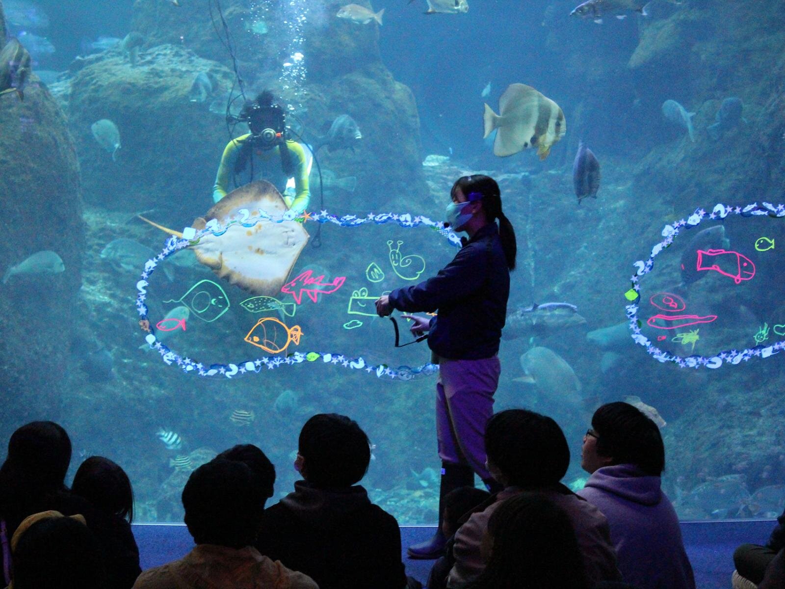 新江ノ島水族館の企画展「くらべてみよう サンゴとわたし」性格診断や“触れて観察”する展示｜写真9