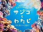 新江ノ島水族館の企画展「くらべてみよう サンゴとわたし」性格診断や“触れて観察”する展示｜写真14