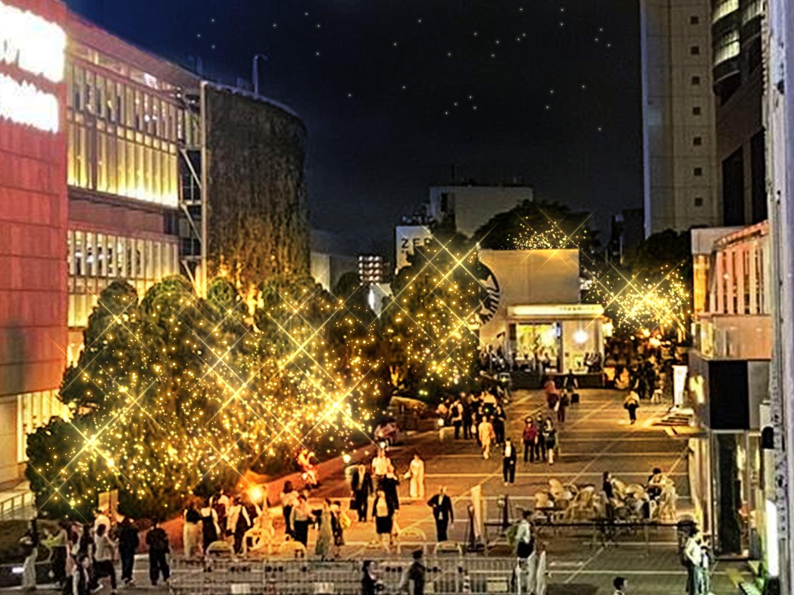 新宿サザンテラス・小田急サザンタワー 期間：2025年11月12日(水)～2026年2月15日(日)予定