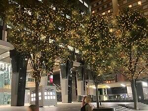 新宿南口「新宿ミナミルミ」25-26年イルミネーション、“Suicaのペンギン”ゲートや光の回廊｜写真8