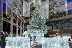 KITTE丸の内の25年クリスマスイルミネーション、100mに広がる“白銀の大草原”＆光のかまくら｜写真1