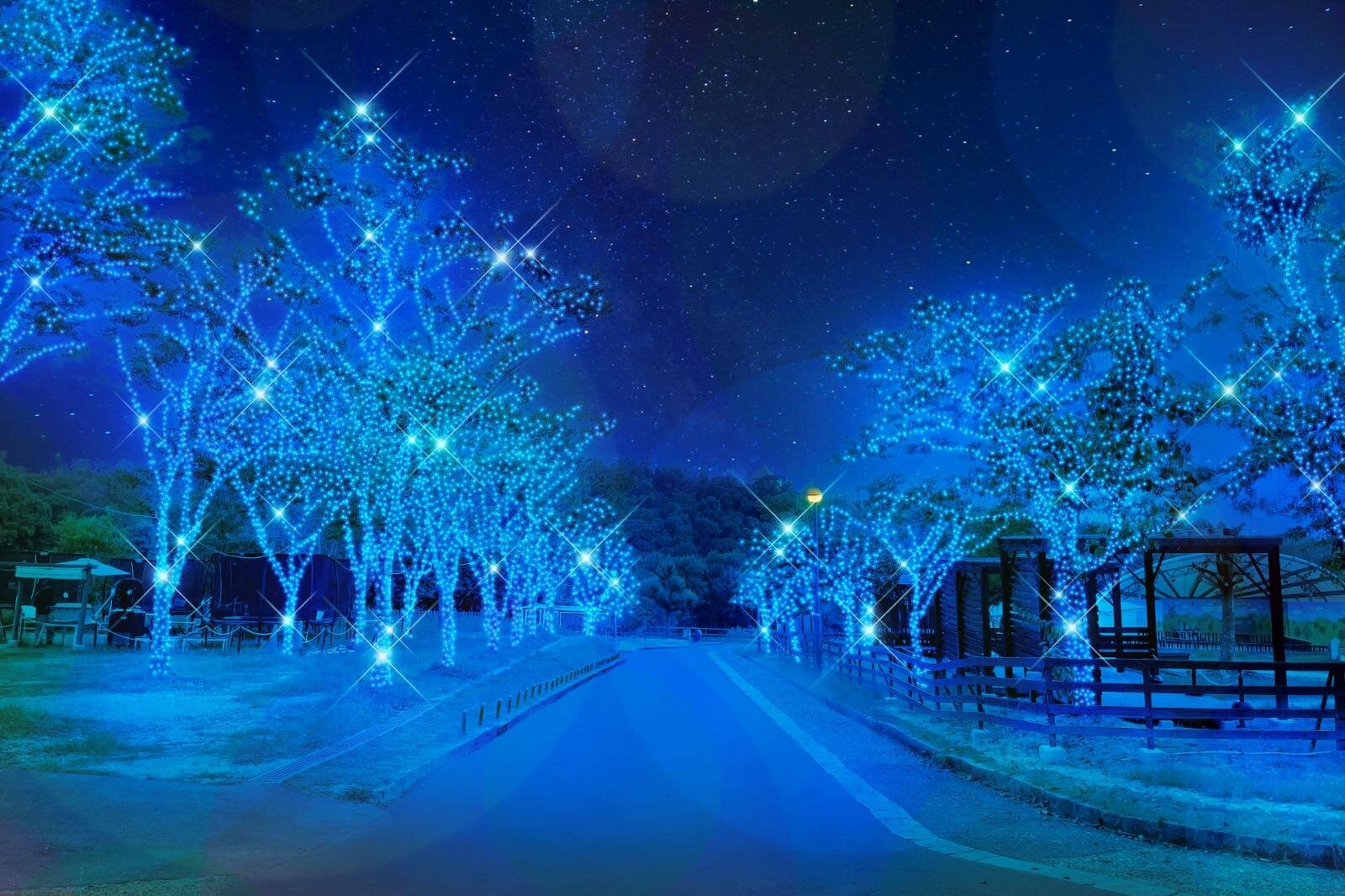 大阪・堺「ハーベストの丘」“約100万球のLED”輝く25年イルミネーション、光るカピバラや青い森