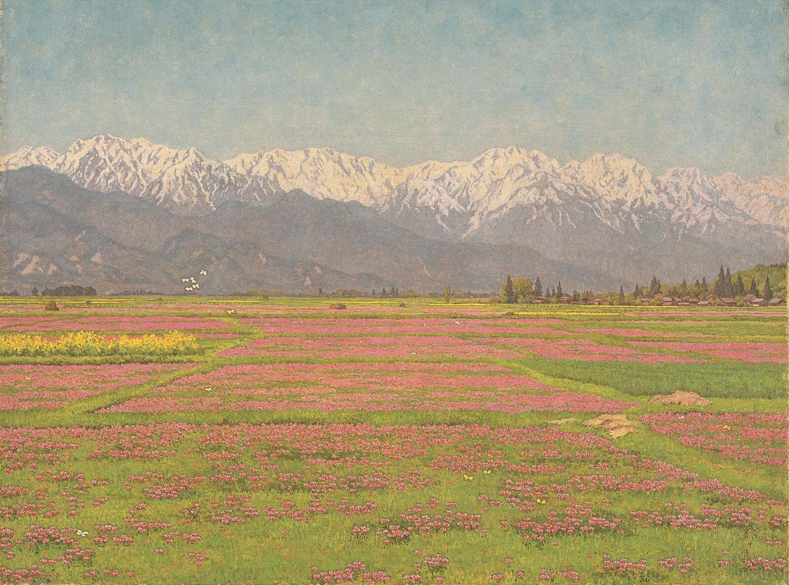 髙島野十郎《れんげ草》昭和32(1957)年 個人蔵