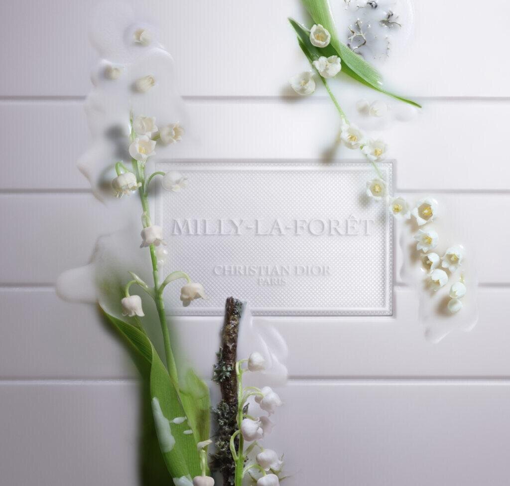 ラ コレクシオン プリヴェ クリスチャン ディオール キャンドル ミリー ラ フォレ 250g 20,240円