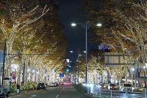 表参道ヒルズ25年クリスマス“プリズム”煌めくツリー、躍動する光のリングと音の演出も｜写真1