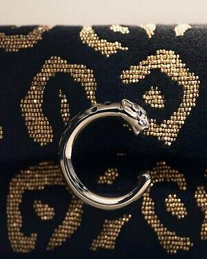 カルティエ“パンテールの斑点”ビーズ刺繍のミニチェーンバッグ、ラメ糸で爪を描くバッグも｜写真2