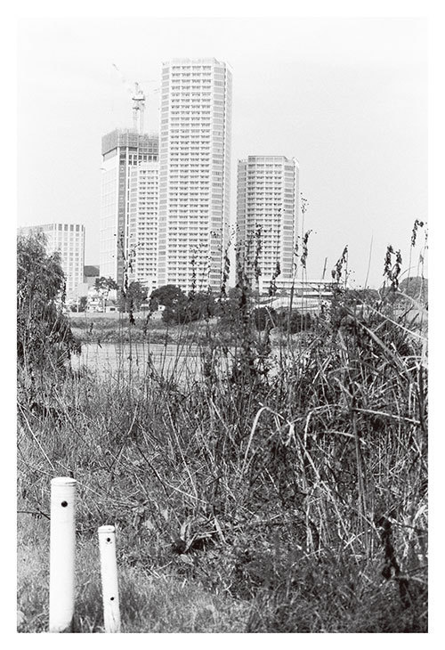 ルール ロジェット 2015年春夏<span>コレクション</span> - 写真79