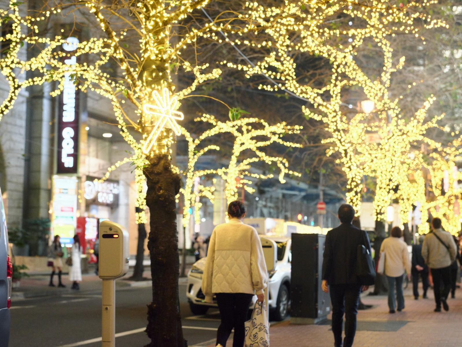 「東京イルミリア」東京駅八重洲口～日本橋の冬イルミネーション、街路樹に明るい光｜写真4