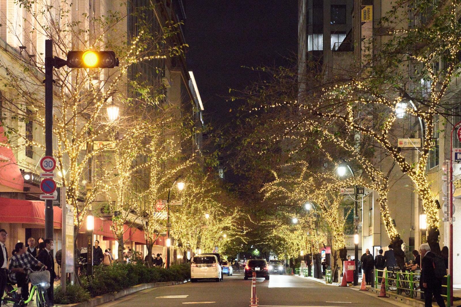 イルミネーション｜「東京イルミリア」東京駅八重洲口～日本橋の冬イルミネーション、街路樹に明るい光