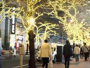 「東京イルミリア」東京駅八重洲口～日本橋の冬イルミネーション、街路樹に明るい光｜写真4