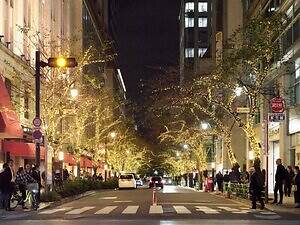 「東京イルミリア」東京駅八重洲口～日本橋の冬イルミネーション、街路樹に明るい光｜写真1