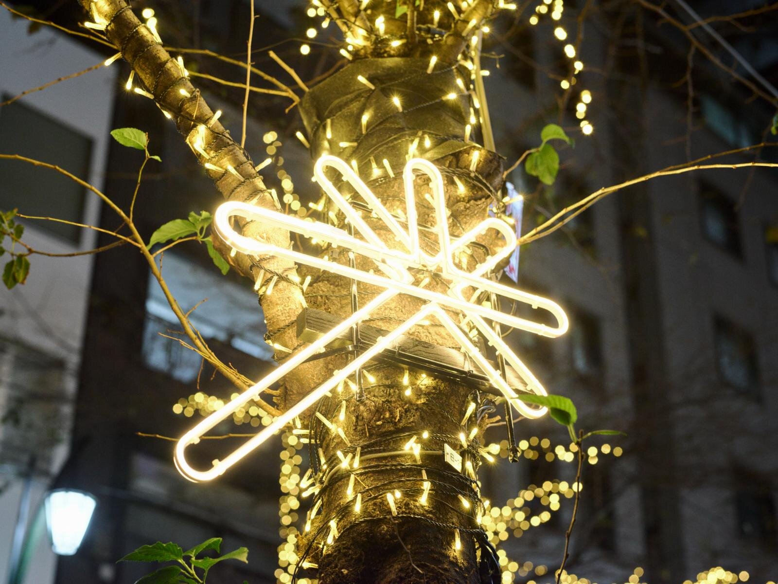 「東京イルミリア」東京駅八重洲口～日本橋の冬イルミネーション、街路樹に明るい光｜写真3