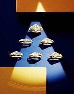 虎ノ門ヒルズのクリスマス、生木が織りなす森インスタレーション＆限定ケーキやギフトも｜写真11