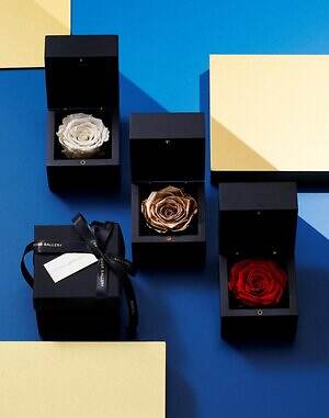 虎ノ門ヒルズのクリスマス、生木が織りなす森インスタレーション＆限定ケーキやギフトも｜写真9