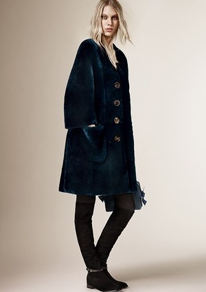 バーバリープローサム(Burberry Prorsum) 2015年プレフォールウィメンズコレクション  - 写真10