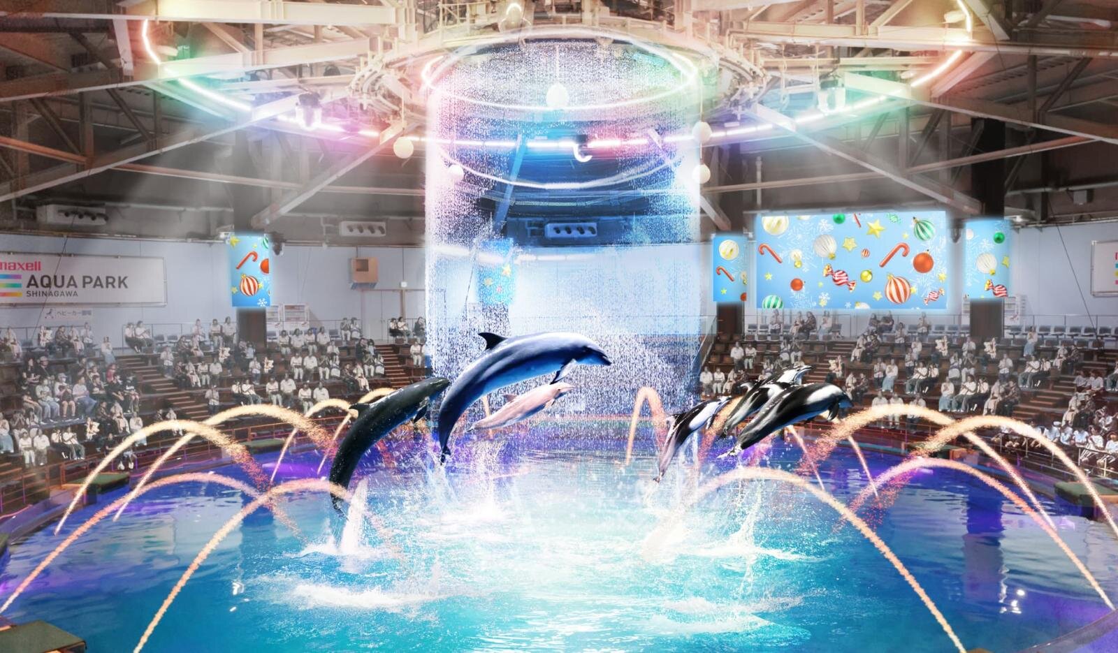 デイVer.ドルフィンパフォーマンス:ポップサンタパーティ(Pop Santa Party)