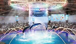 マクセル アクアパーク品川のクリスマスイベント、“360度星空の海”でドルフィンパフォーマンス｜写真5