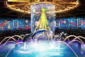 マクセル アクアパーク品川のクリスマスイベント、“360度星空の海”でドルフィンパフォーマンス