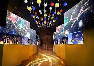 マクセル アクアパーク品川のクリスマスイベント、“360度星空の海”でドルフィンパフォーマンス｜写真3