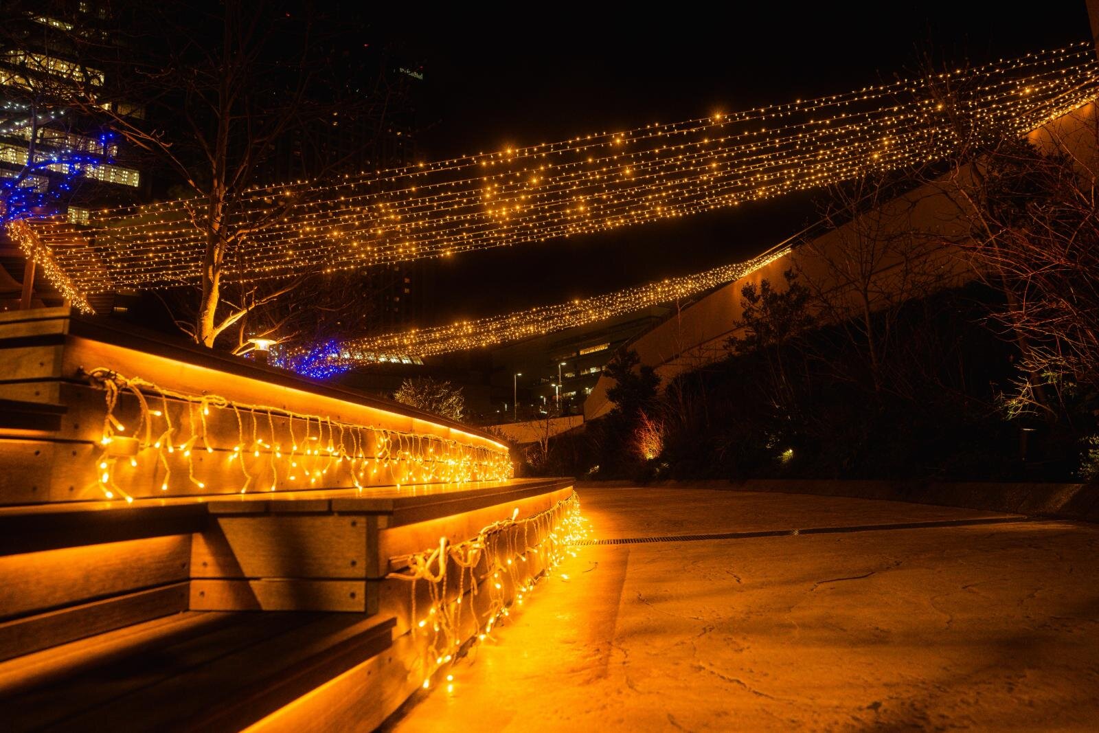 冬イルミネーション「なんば光旅」大阪なんばパークスに“光の滝”、煌めく草原やツリーのAR演出も｜写真8