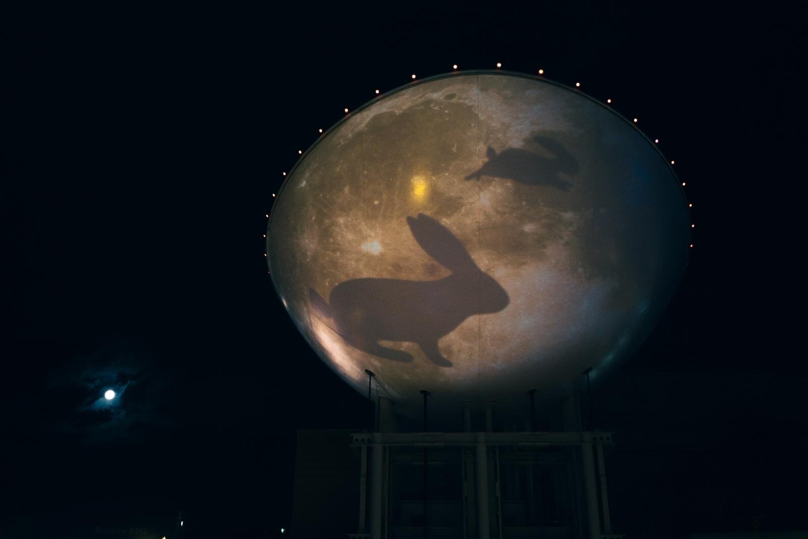 冬イルミネーション「なんば光旅」大阪なんばパークスに“光の滝”、煌めく草原やツリーのAR演出も｜写真9