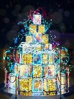 冬イルミネーション「なんば光旅」大阪なんばパークスに“光の滝”、煌めく草原やツリーのAR演出も｜写真2