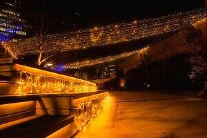 冬イルミネーション「なんば光旅」大阪なんばパークスに“光の滝”、煌めく草原やツリーのAR演出も｜写真8