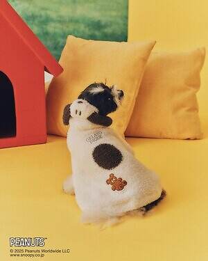 ジェラート ピケ「ピーナッツ」ルームウェア、“おやすみ前”スヌーピーを描くパジャマやスウェット｜写真26