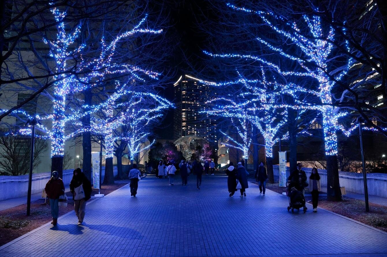「ヨコハマミライト2025」横浜最大級のイルミネーション、グランモール公園初のクリスマスマーケットも