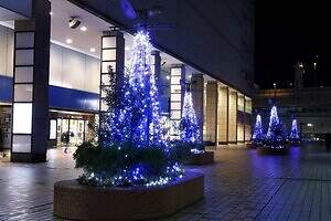 「ヨコハマミライト2025」横浜最大級のイルミネーション、グランモール公園初のクリスマスマーケットも｜写真6