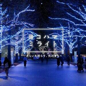 「ヨコハマミライト2025」横浜最大級のイルミネーション、グランモール公園初のクリスマスマーケットも｜写真24