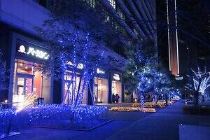 「ヨコハマミライト2025」横浜最大級のイルミネーション、グランモール公園初のクリスマスマーケットも｜写真12