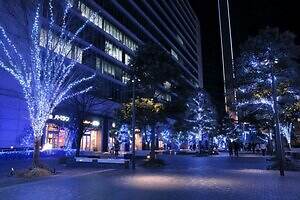 「ヨコハマミライト2025」横浜最大級のイルミネーション、グランモール公園初のクリスマスマーケットも｜写真13