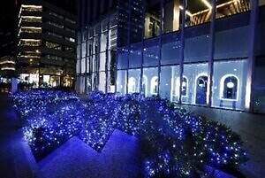 「ヨコハマミライト2025」横浜最大級のイルミネーション、グランモール公園初のクリスマスマーケットも｜写真29