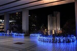 「ヨコハマミライト2025」横浜最大級のイルミネーション、グランモール公園初のクリスマスマーケットも｜写真5