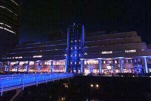 「ヨコハマミライト2025」横浜最大級のイルミネーション、グランモール公園初のクリスマスマーケットも｜写真19