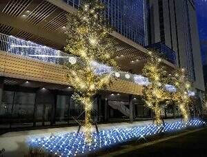 「ヨコハマミライト2025」横浜最大級のイルミネーション、グランモール公園初のクリスマスマーケットも｜写真33