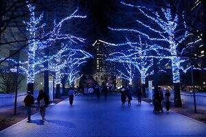 「ヨコハマミライト2025」横浜最大級のイルミネーション、グランモール公園初のクリスマスマーケットも
